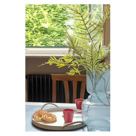 Guest house Frola